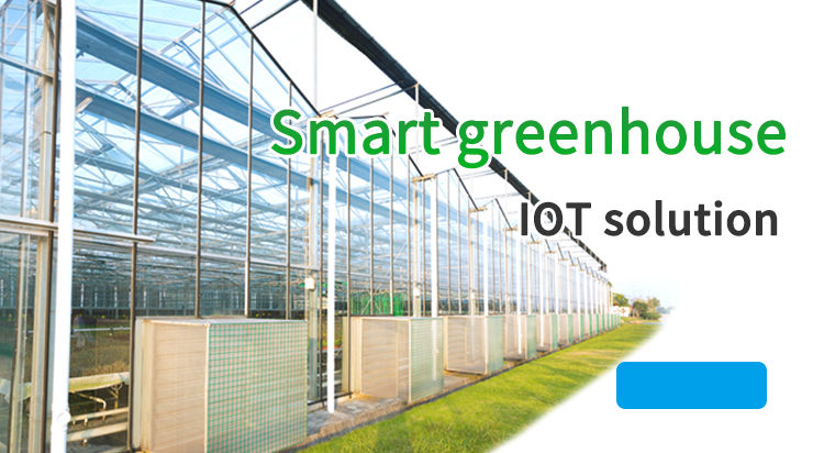 Smart greenhouse IoT solution