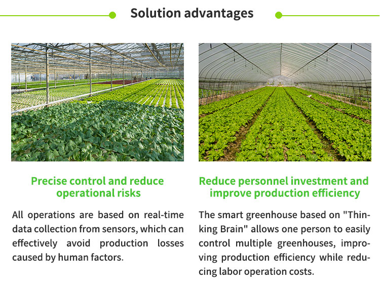 Smart greenhouse IoT solution