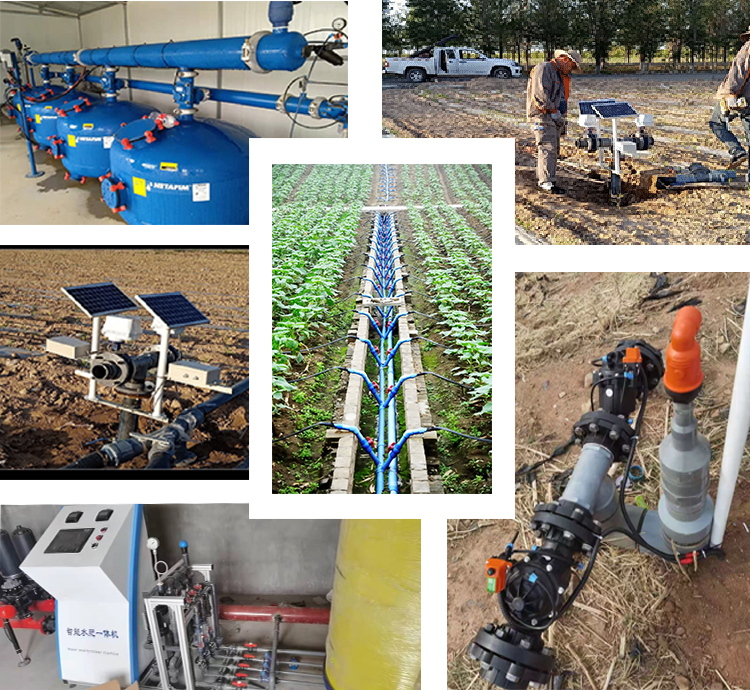 Integrated water and fertilizer planting management system