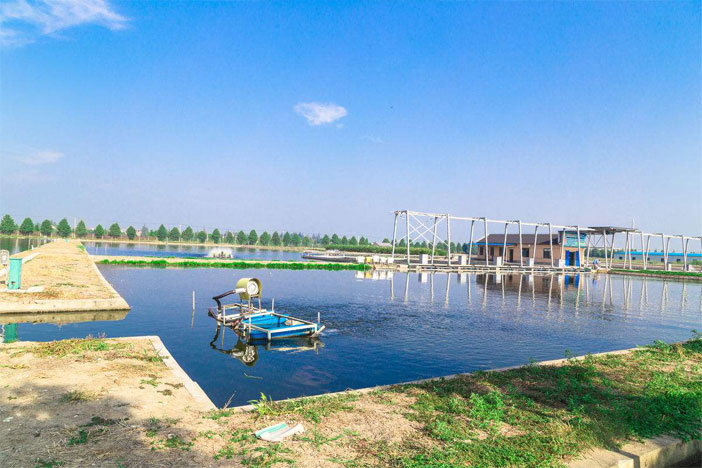 Internet of Things Aquaculture Intelligent Environment Monitoring System