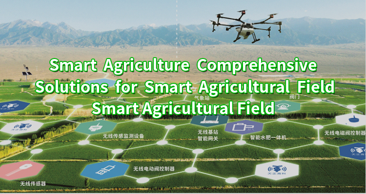 Comprehensive solutions for smart agriculture (field)