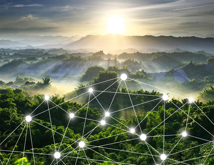 Intelligent forestry information system