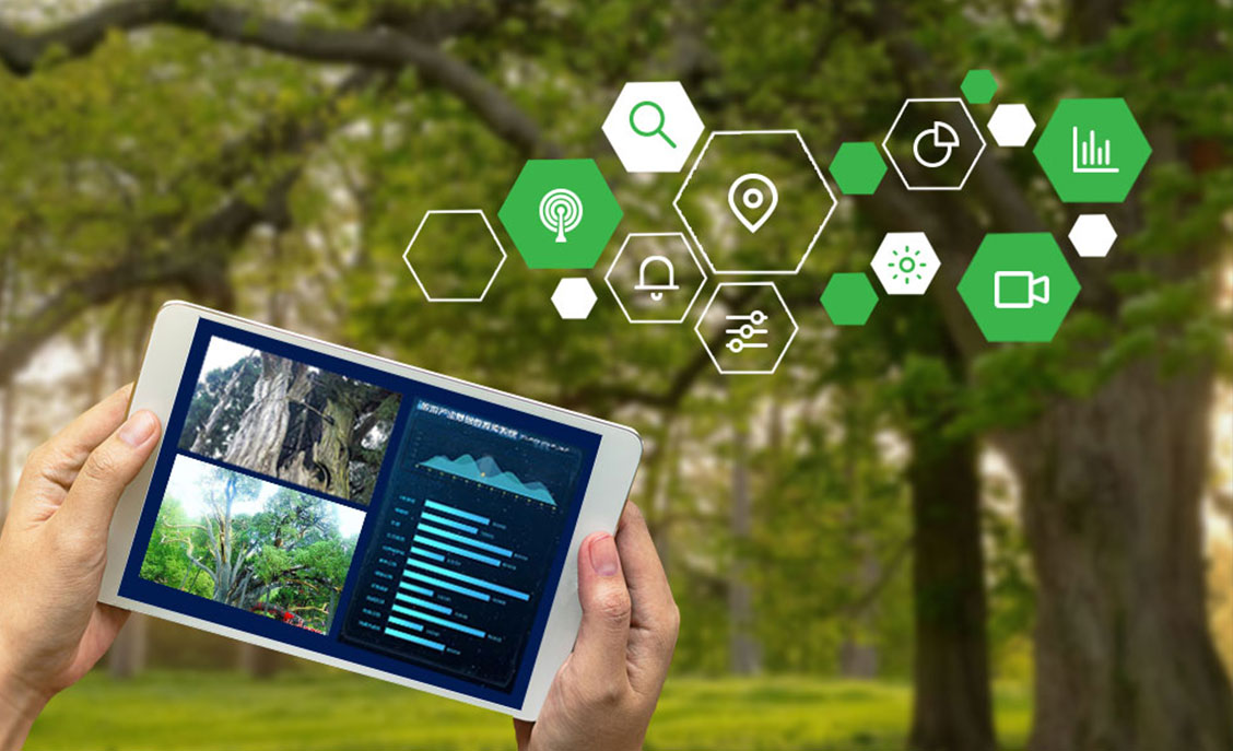 Comprehensive smart garden solutions 