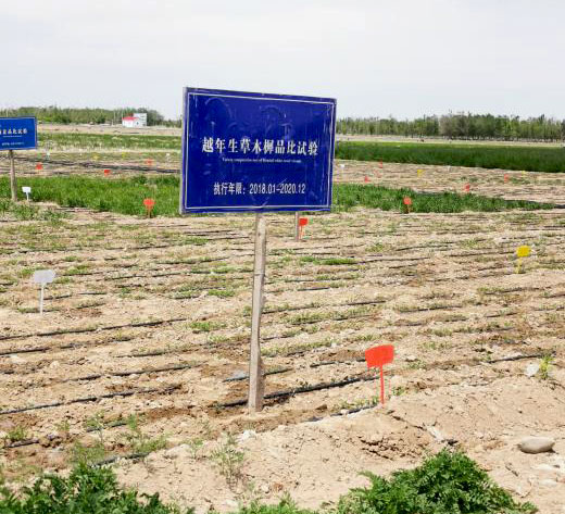 天正高科 天正高科