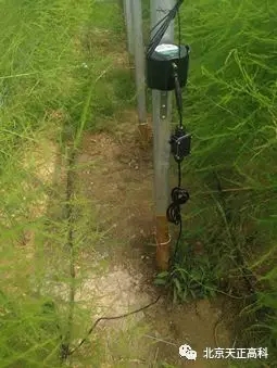 天正高科 水肥一体化技术亮相安徽萧县农业基地