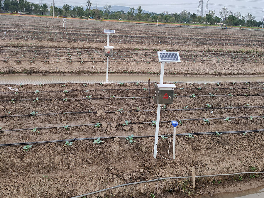 Internet of Things Cauliflower Nutrition Experimental Area Intelligent Water and Fertilizer Integration Project