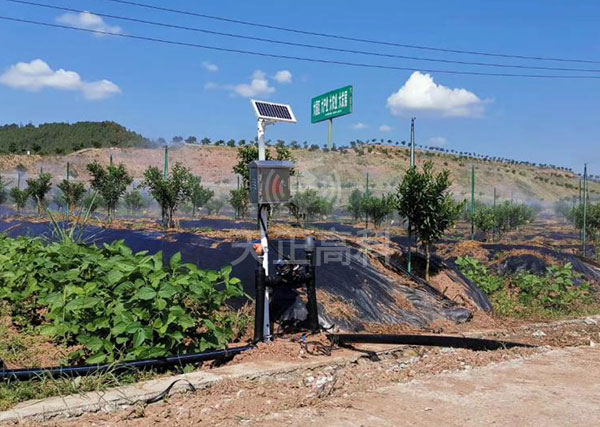 62,600 acres of late-maturing citrus modern agricultural park intelligent water and fertilizer integration project in Nannan County