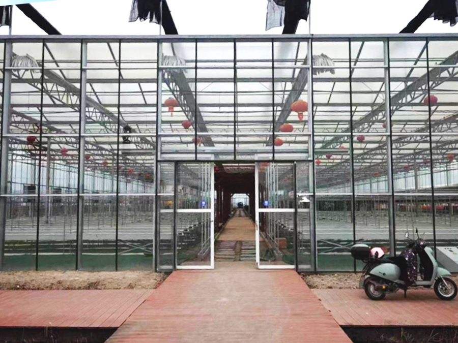 Smart greenhouse water and fertilizer integrated renovation project in Maoxin Village, Haishu District, Ningbo