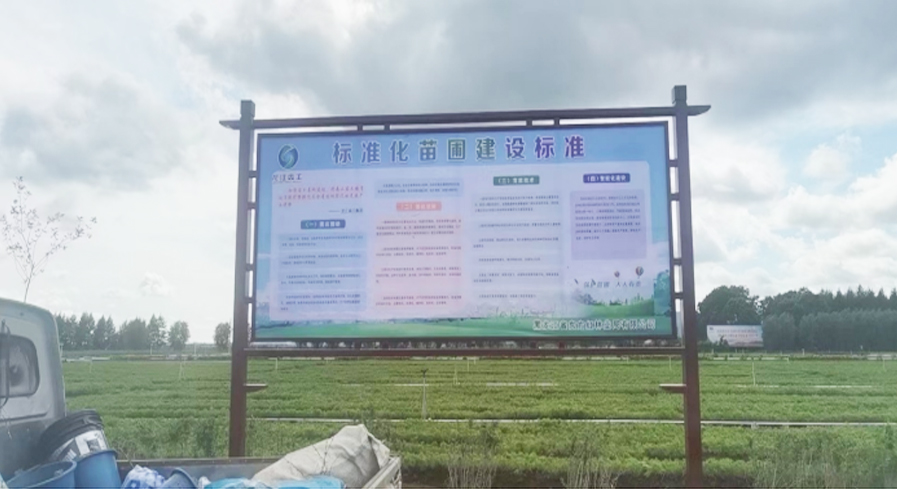 Heilongjiang Dongfanghong Forestry Bureau Smart Nursery Renovation Project