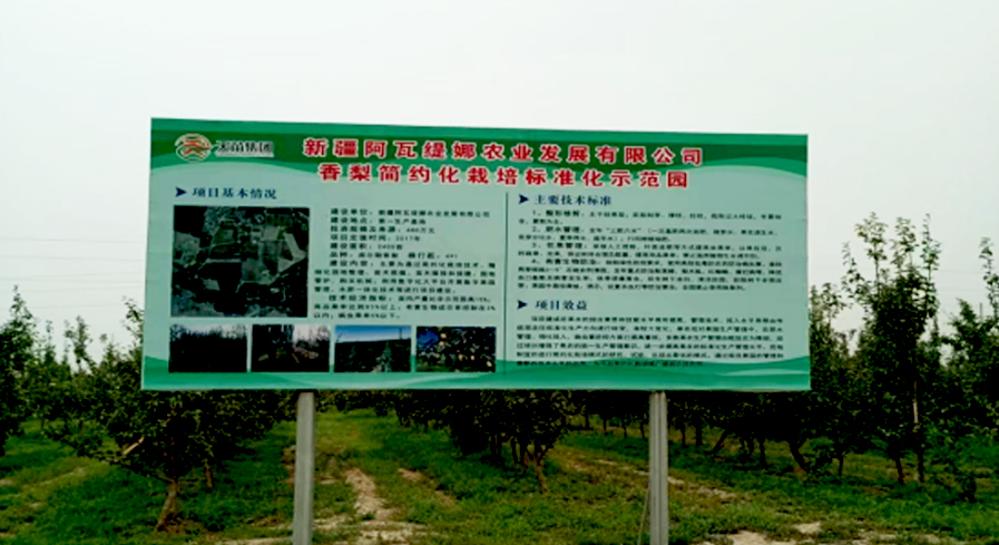 Xinjiang Xiangli Project Intelligent Water and Fertilizer Integrated Renovation Project