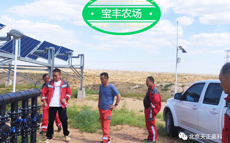 天正高科 宝丰牧场1#蓄水池3300亩苜蓿种植区配套灌溉工程项目