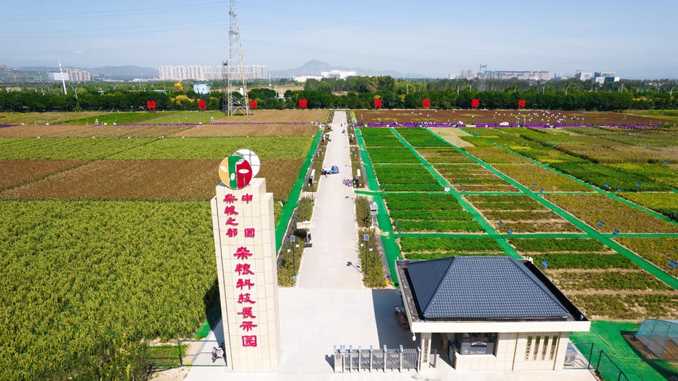 天正高科 昌平区老北京水果示范基地建设项目