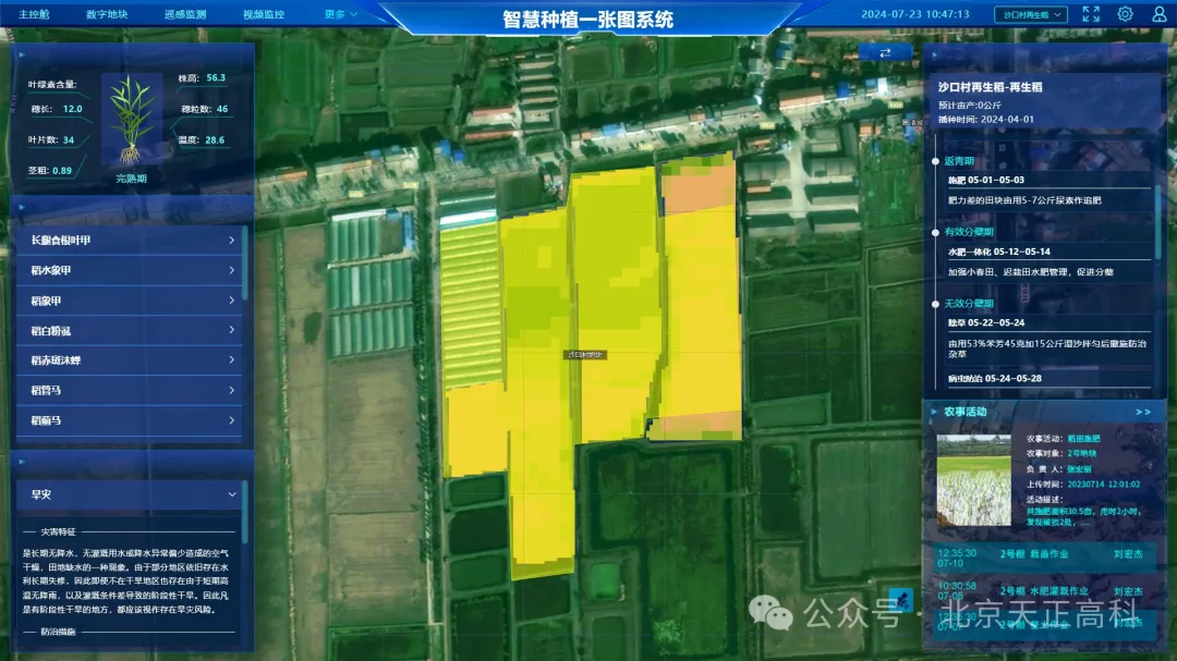 天正高科 洪湖市再生稻智慧农业示范田建设项目