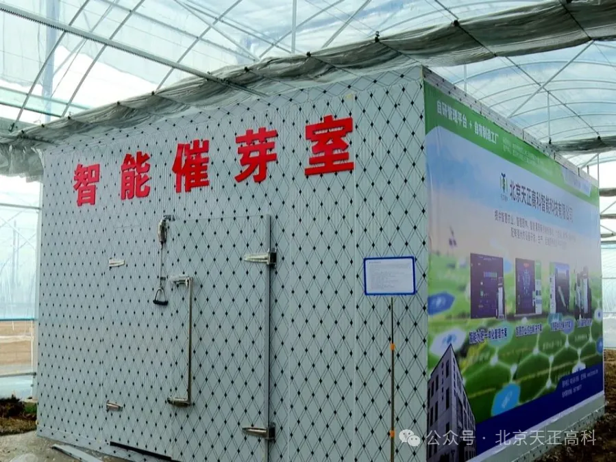 天正高科 洪湖市再生稻智慧农业示范田建设项目