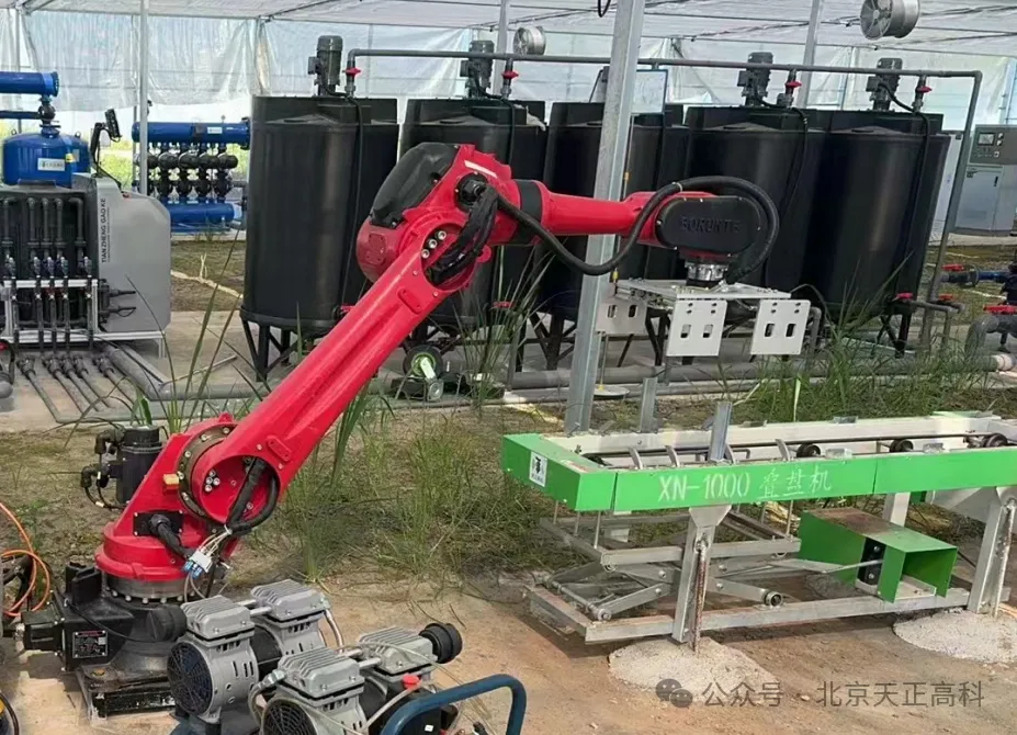 天正高科 洪湖市再生稻智慧农业示范田建设项目