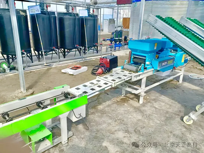 天正高科 洪湖市再生稻智慧农业示范田建设项目