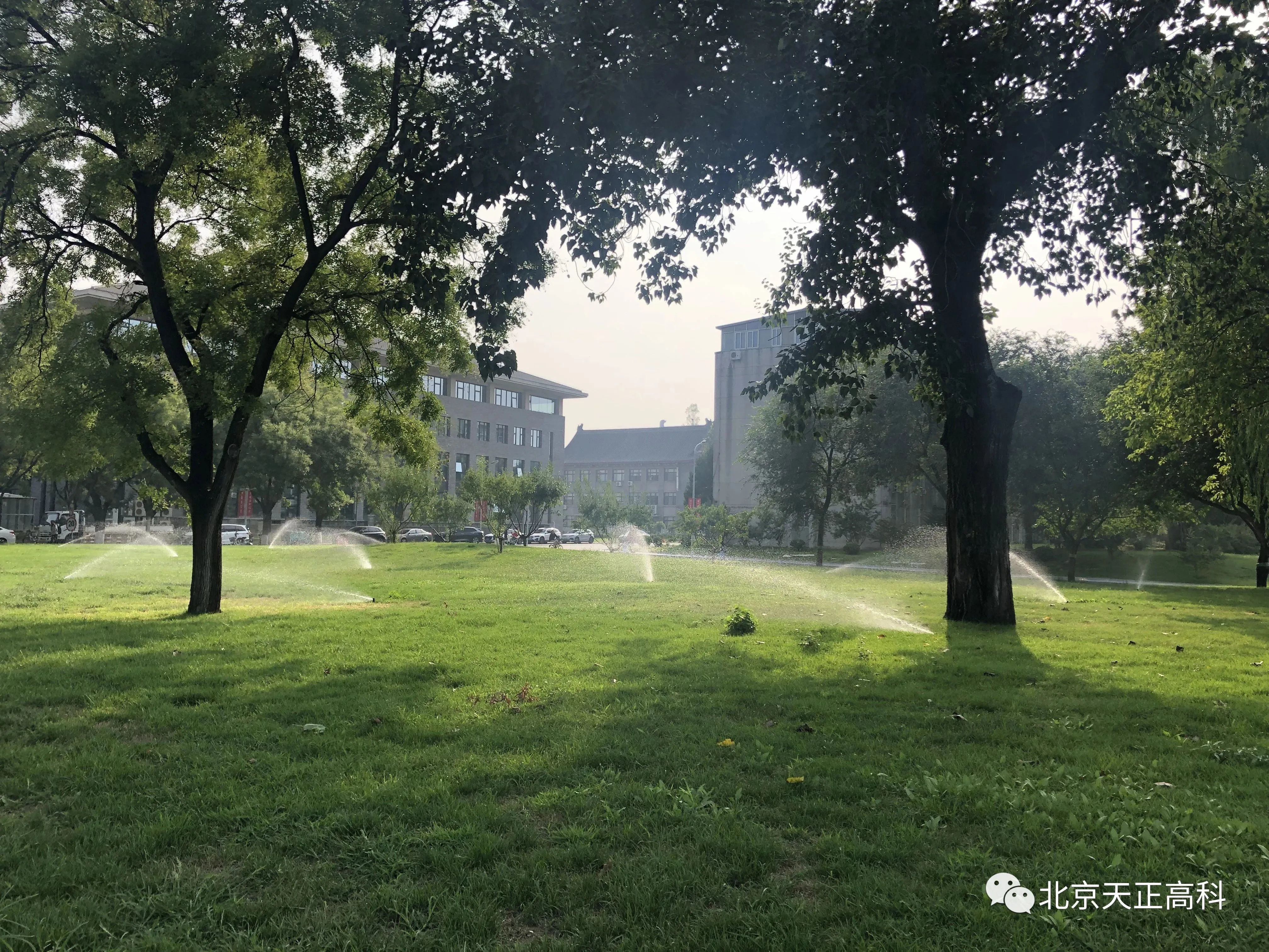 天正高科 北京大学大草坪喷灌建设改造工程