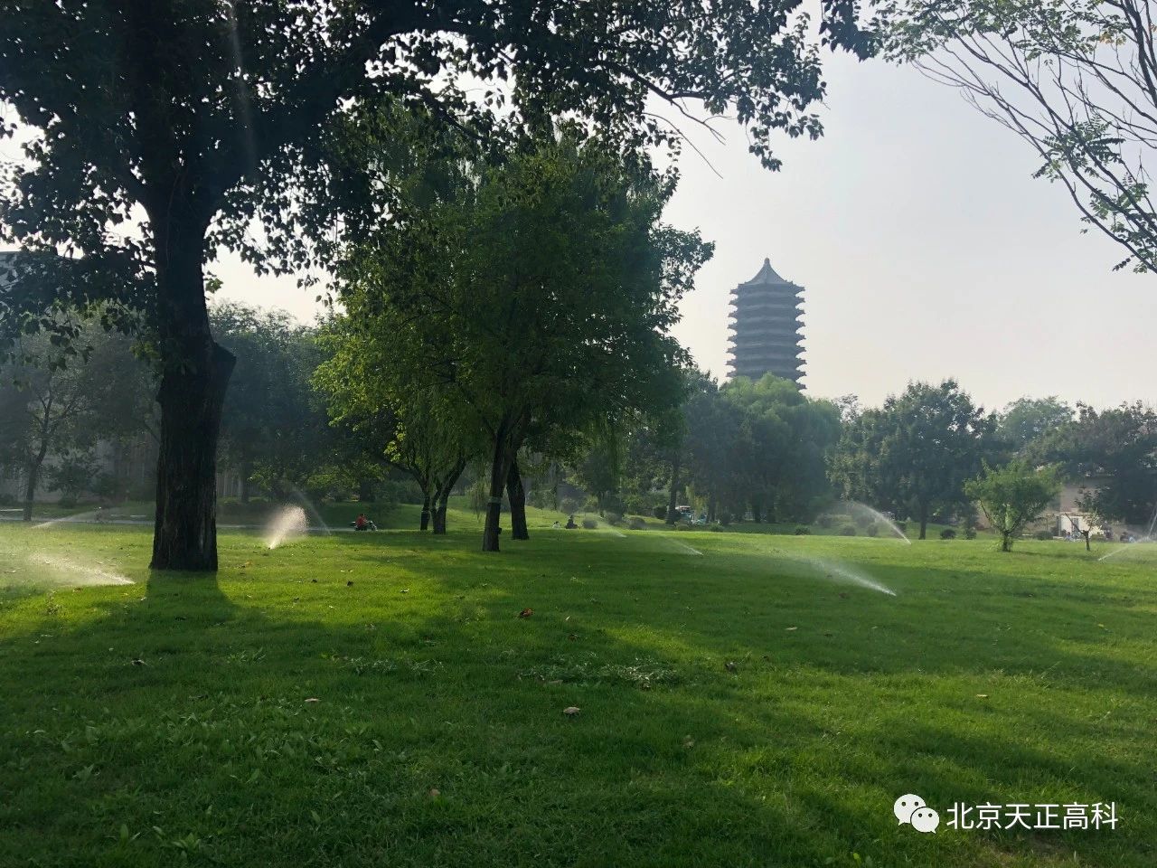 天正高科 北京大学大草坪喷灌建设改造工程