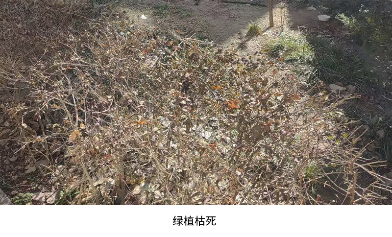 天正高科 北京西城区社区绿地节水微喷改造工程