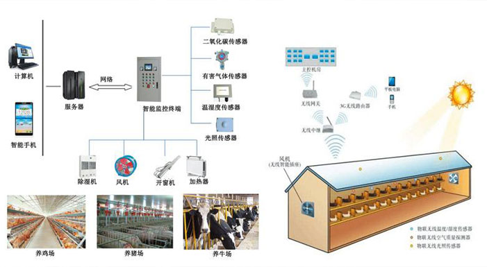 Internet of Things shed environment intelligent monitoring system